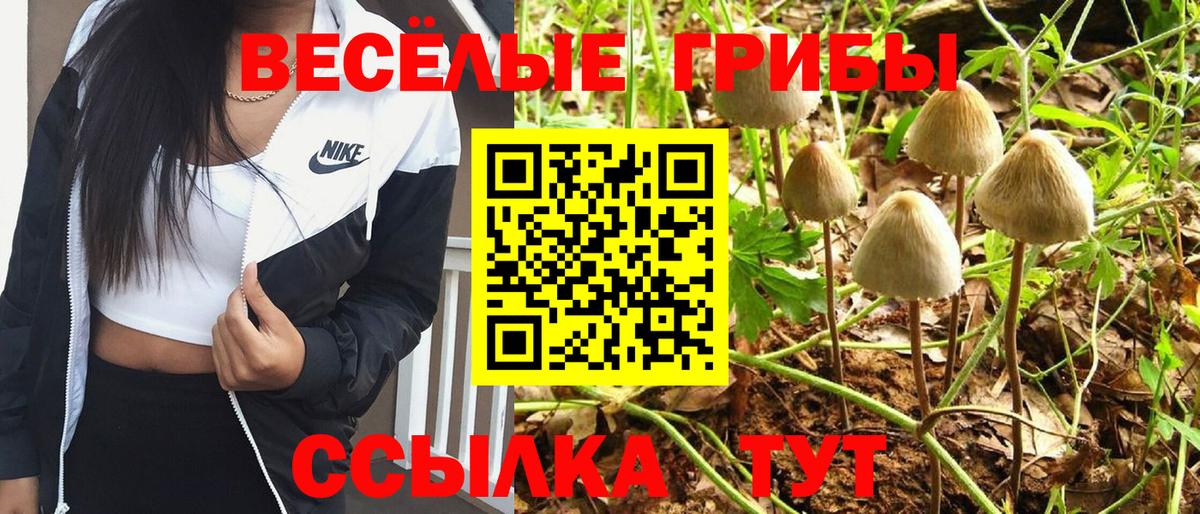Псилоцибиновые грибы мухоморы Луга
